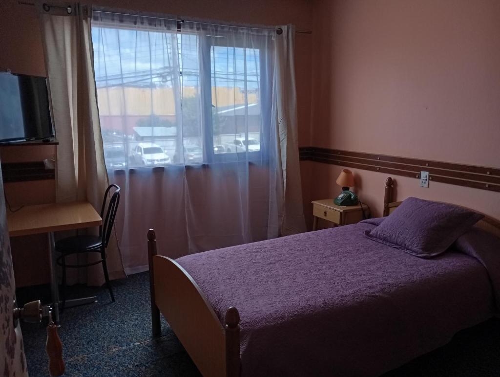 ALERCE NATIVO HOTEL photo 3