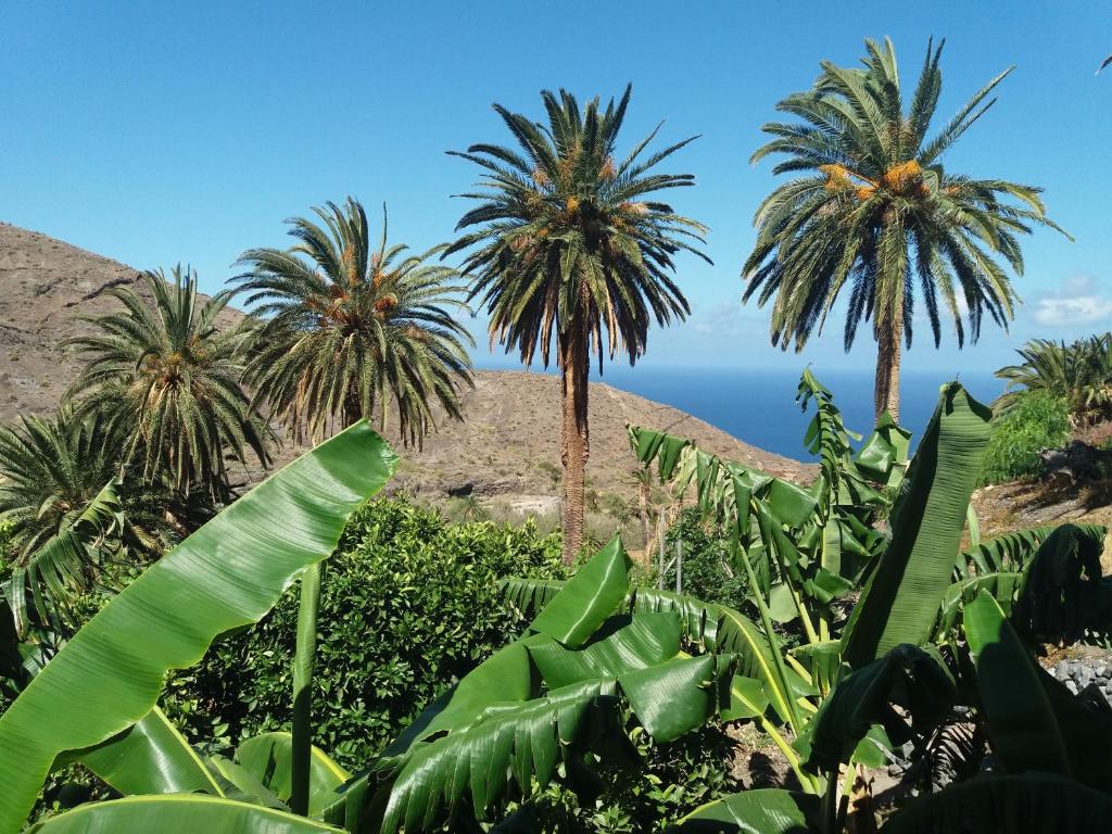 Casa Rural Tía Rita La Gomera photo 4
