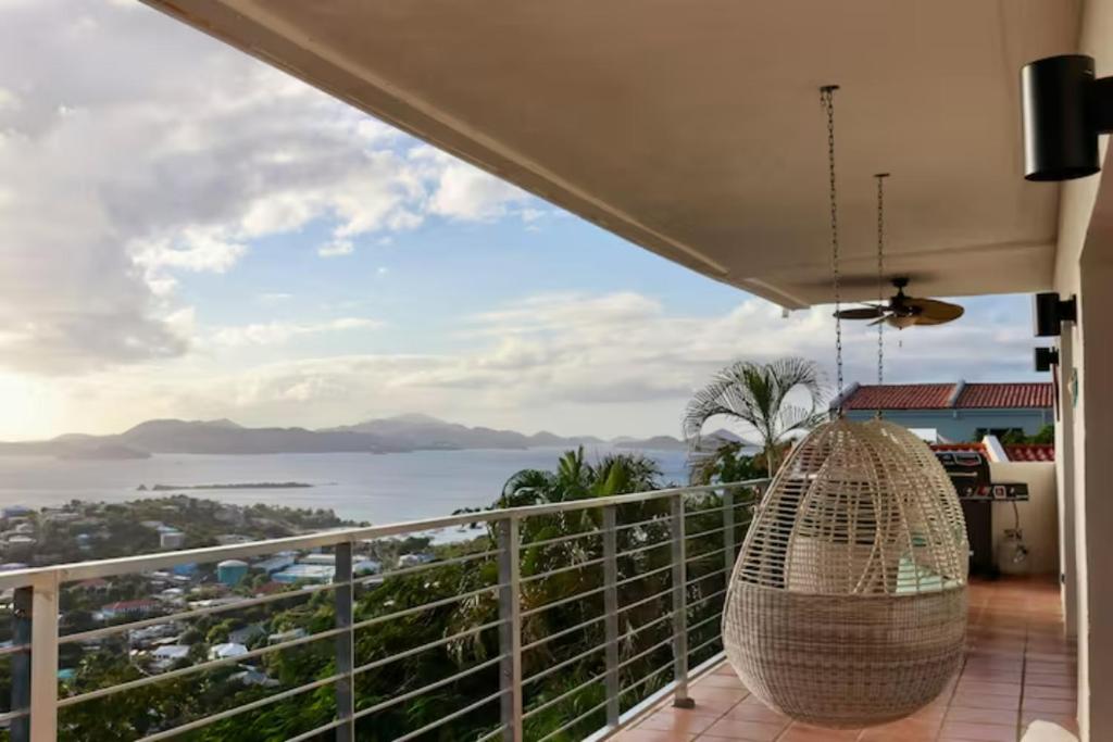 Mandavilla Rose - Inspired USVI photo 3