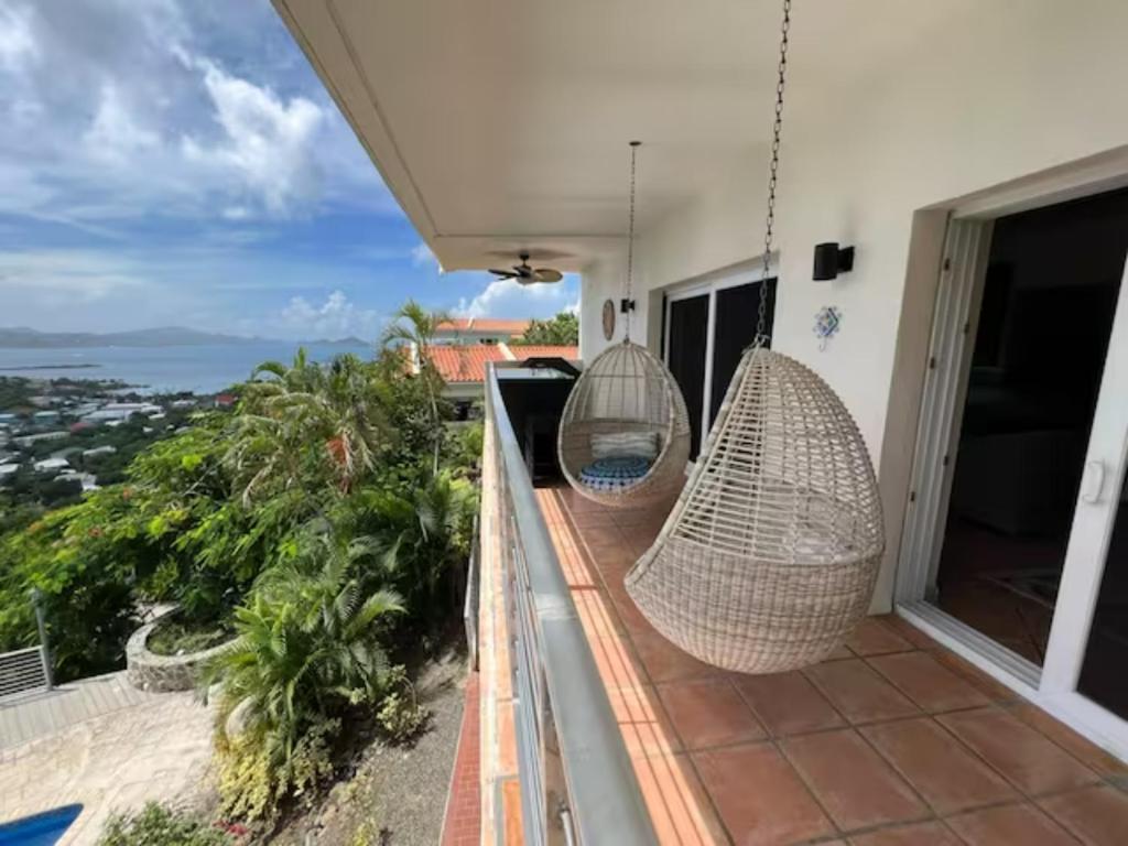 Mandavilla Rose - Inspired USVI photo 2