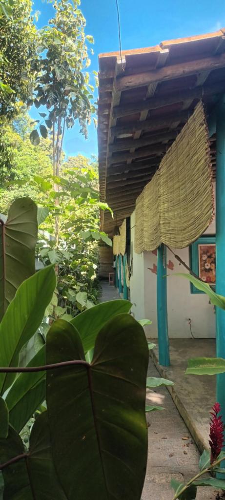4eTal Trancoso photo 1
