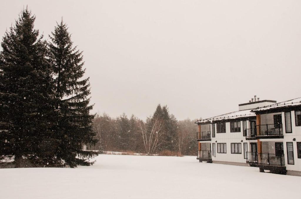 Suite 202 - Destination Mont-Orford photo 4