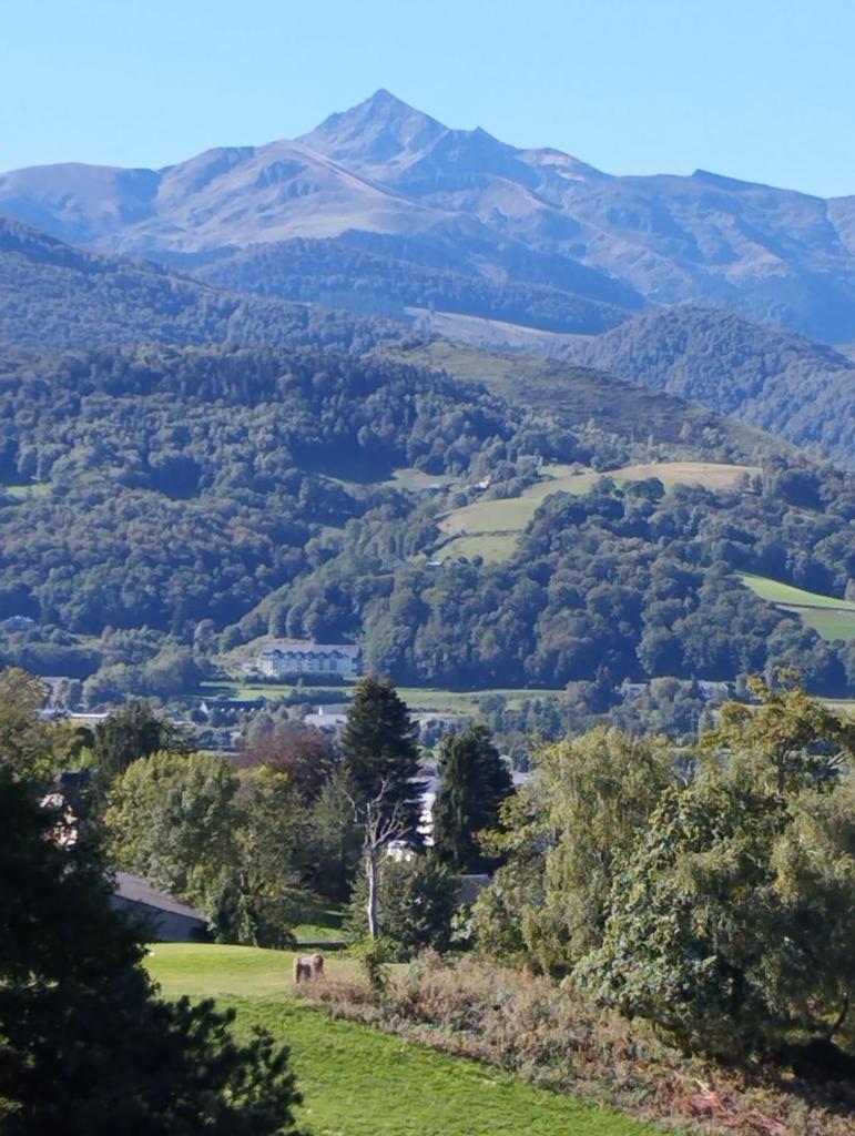 ARBI'ZEN ,appartement Bagnères de Bigorre, domaine golf de la Bigorre, vue exceptionnelle sur la chaine des Pyrénées photo 4