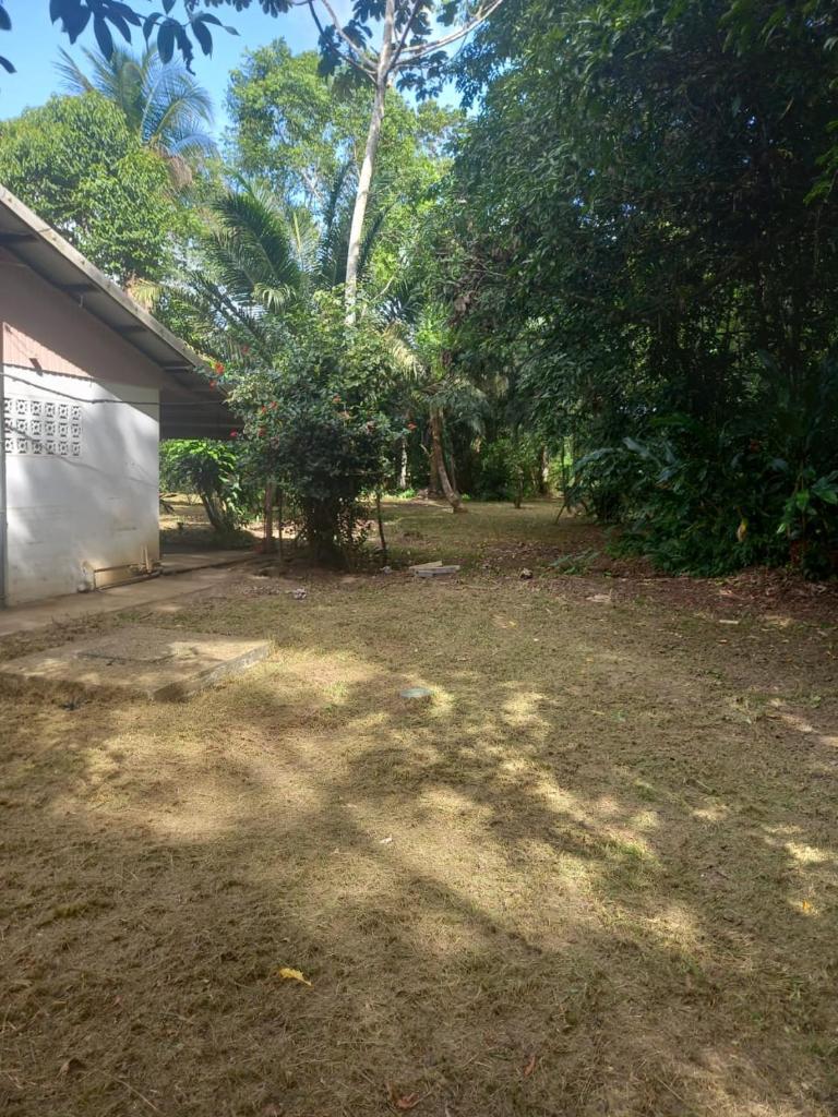 JUNGLE HOUSE photo 4