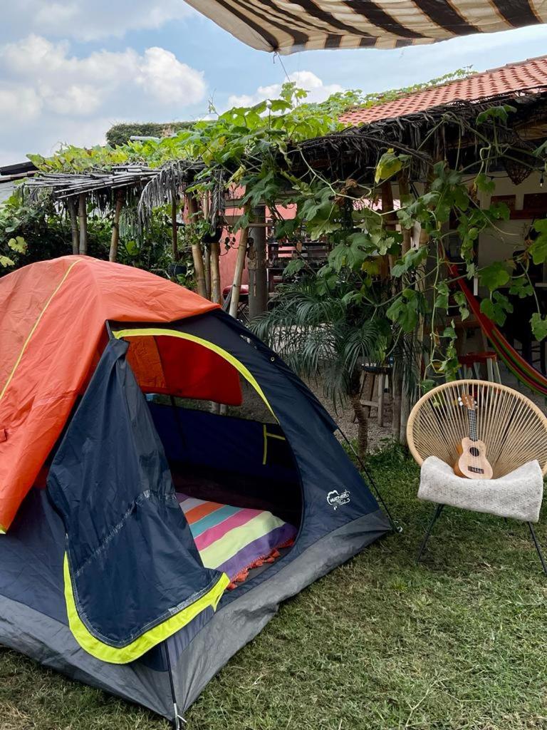 Momo Camping Glamping y Habitaciones photo 1
