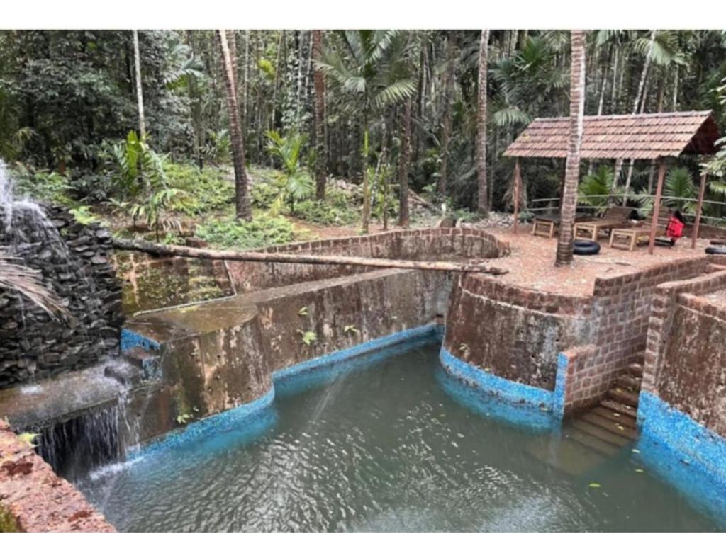 Tanshikar Spice Farm, Sanguem photo 4