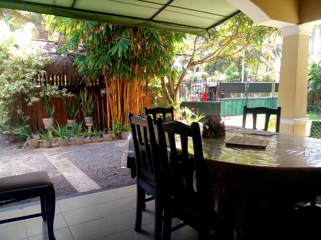 Steur Villa photo 4