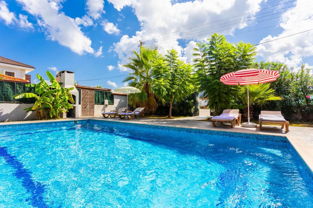 Villa Magnolia photo 4