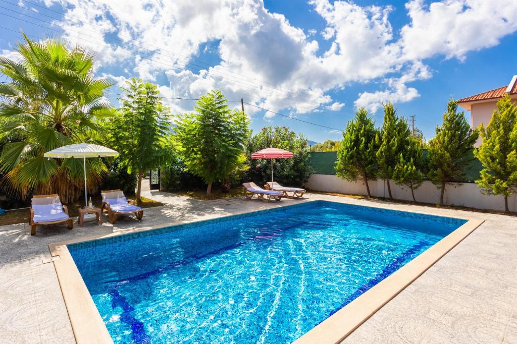 Villa Magnolia photo 3