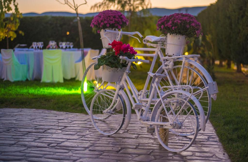 Terra Nostra Mansion & Events Venue photo 4