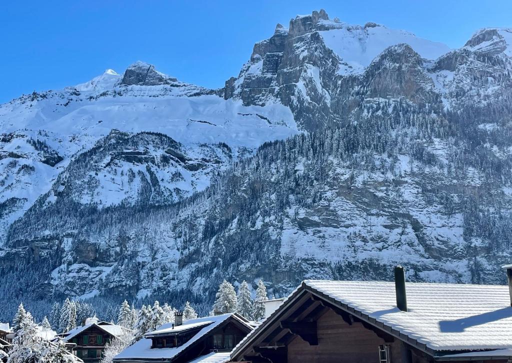 Swiss Alps Lodge