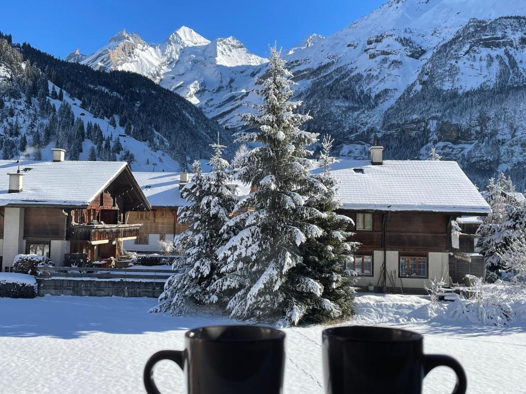 Swiss Alps Lodge photo 1