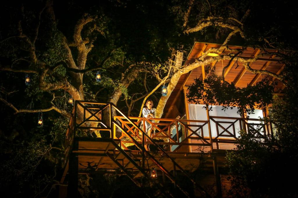 Treehouse Glamping by Glamp Collection