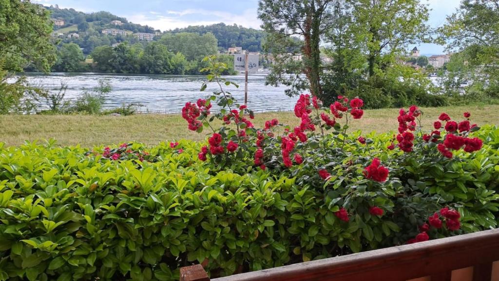 mobile home for you Les Rives de Condrieu photo 1