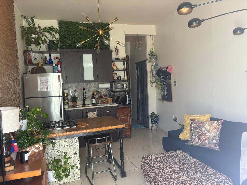 MI CASITA BOHO GREEN photo 2