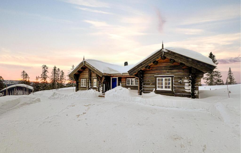 Amazing Home In Sjusjen With Wifi