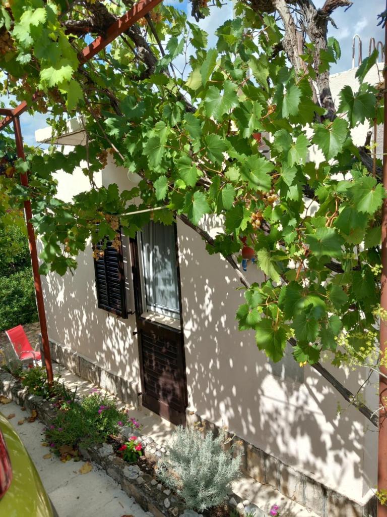 Kuća za odmor Skalina photo 4
