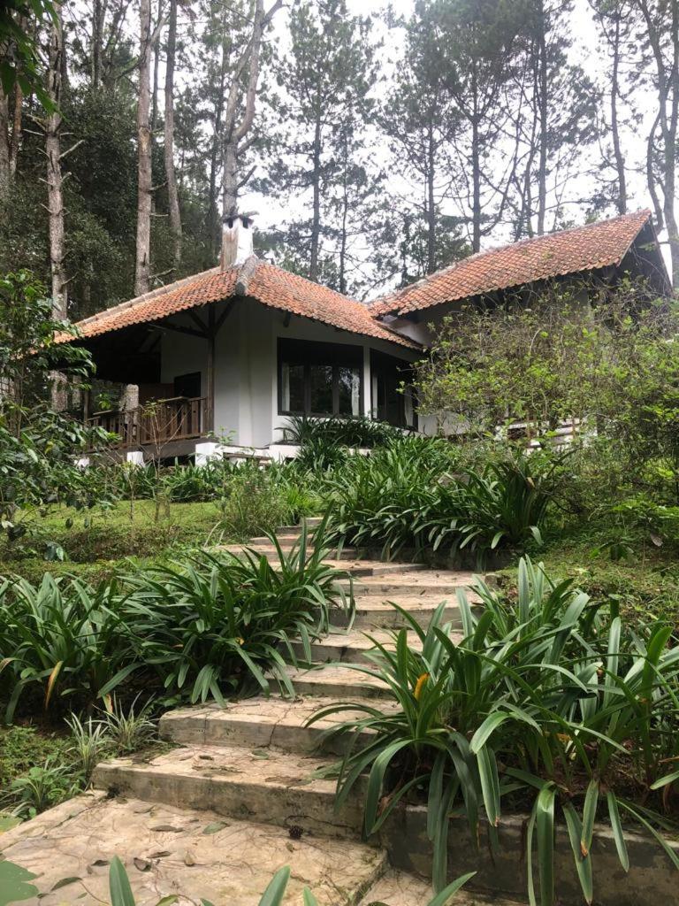 Kartika Lodge photo 2