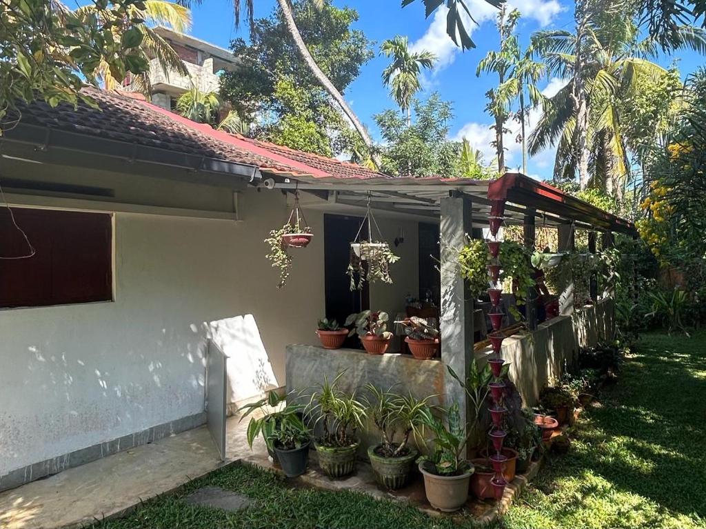LOHAS Villa Hiriketiya photo 2