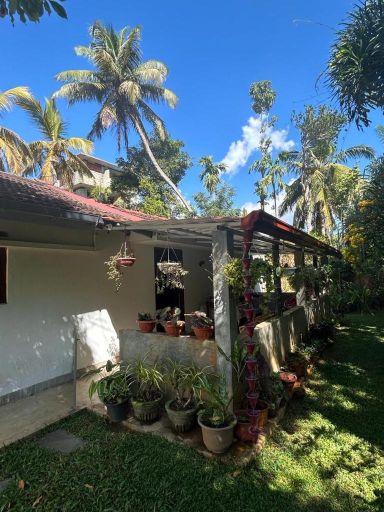 LOHAS Villa Hiriketiya photo 1