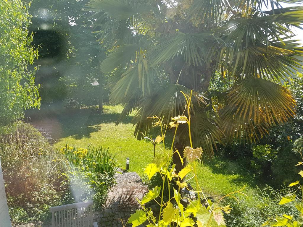 Regio Basiliensis photo 3