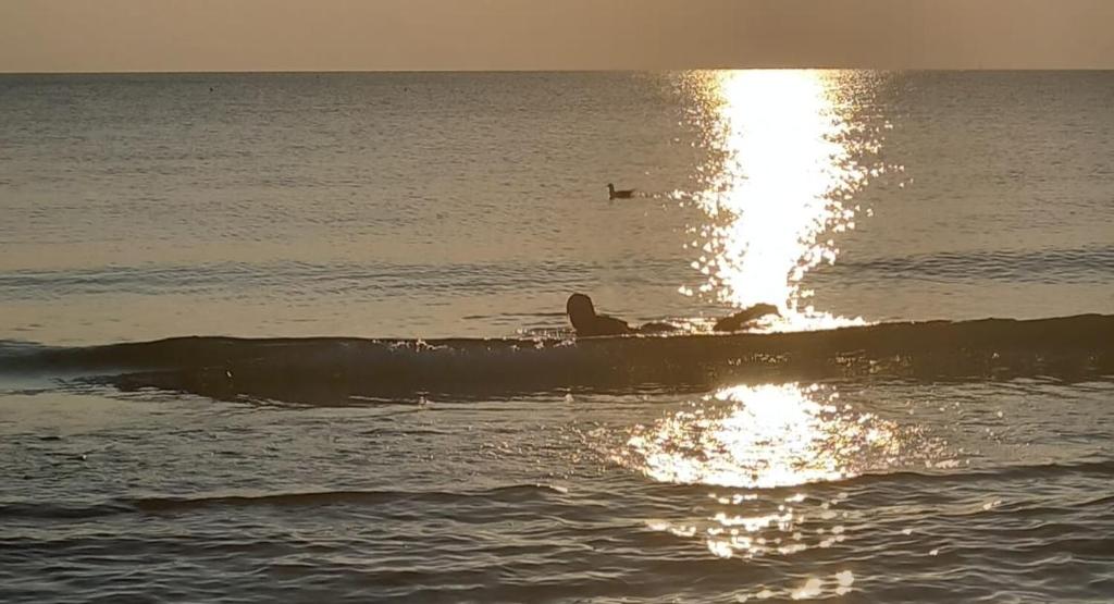 ALBA ADRIATICA vacanze photo 1