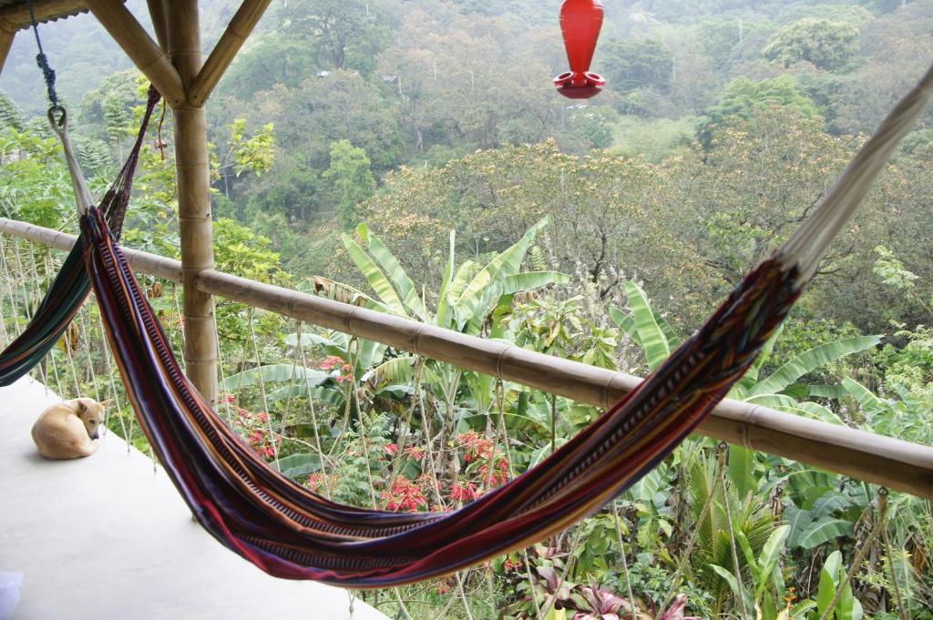 Hostal Vista Verde Minca photo 2