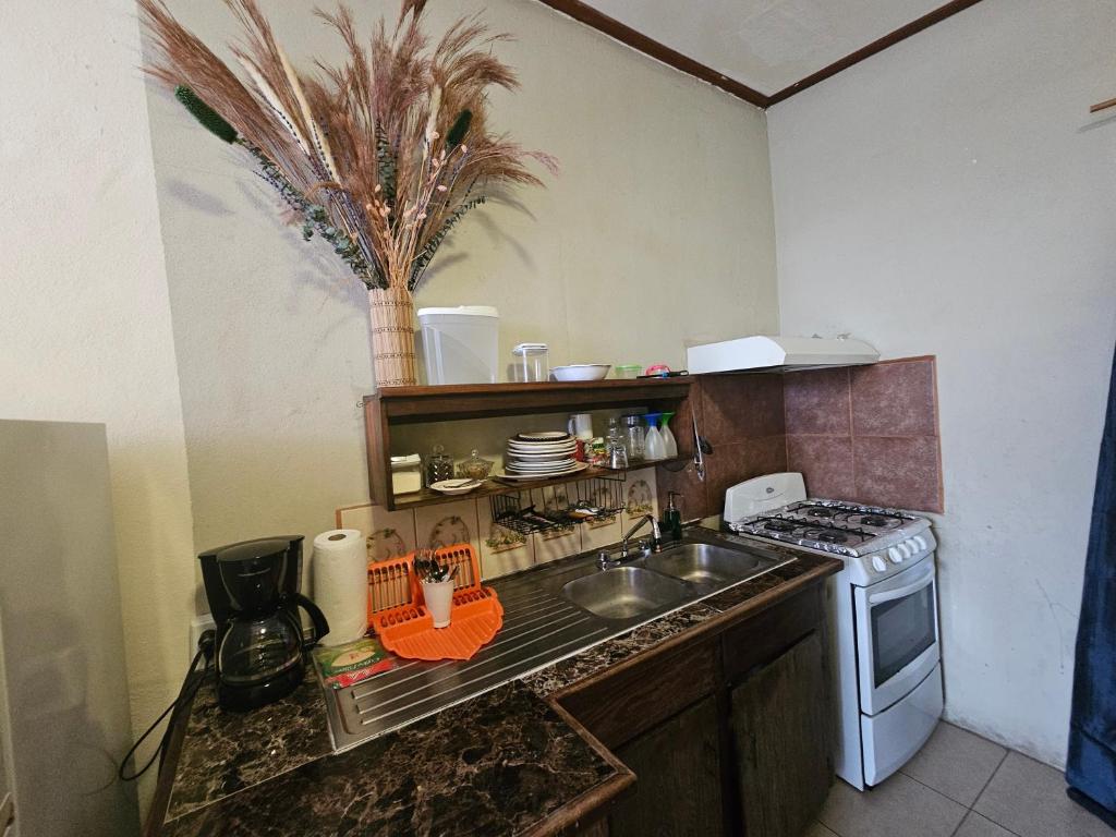 Cozy Flat in San Ignacio Close to Downtown! photo 2