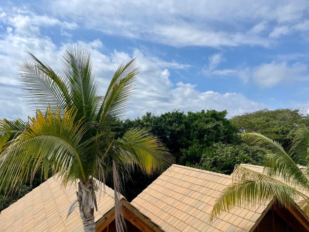 Luxury Beach house en Puerto photo 2