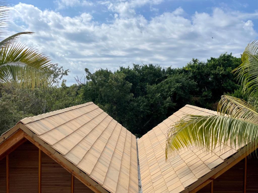 Luxury Beach house en Puerto photo 1
