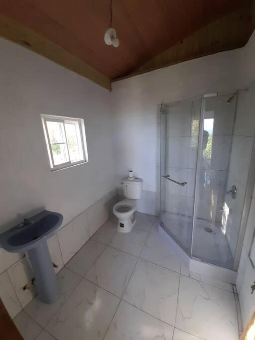 Backra`s Villa photo 1