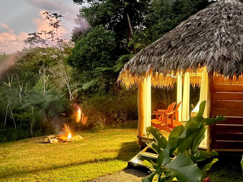 Wood cabin in the jungle with sea view