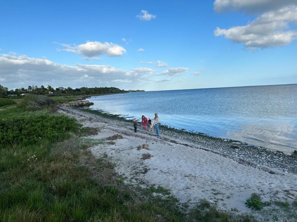 Mormors Gårdhus ved stranden photo 1