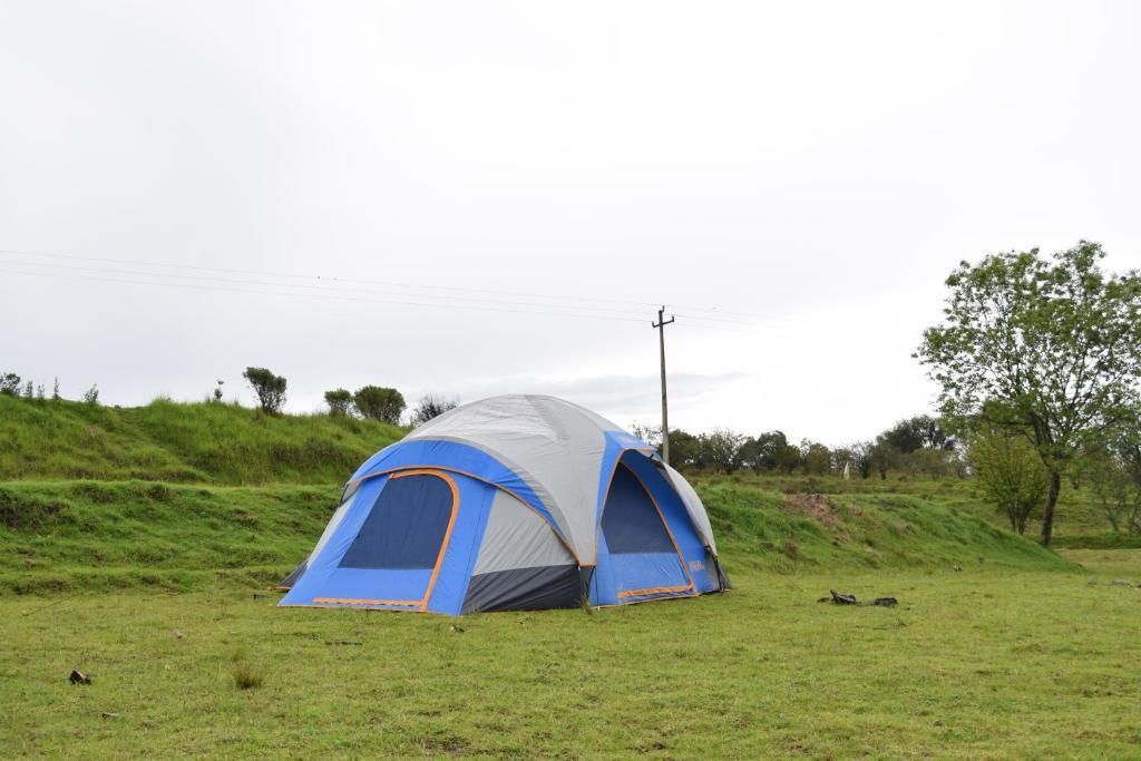 COMPLEJO DE HOSPEDAJE EN BOSQUE ECO REINO AVENTURA photo 3