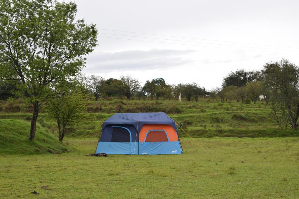 COMPLEJO DE HOSPEDAJE EN BOSQUE ECO REINO AVENTURA photo 4