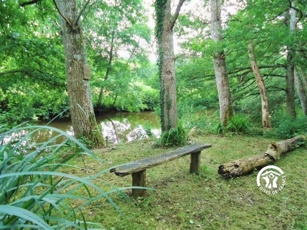 Gîte Oisseau, 4 pièces, 6 personnes - FR-1-600-106 photo 4