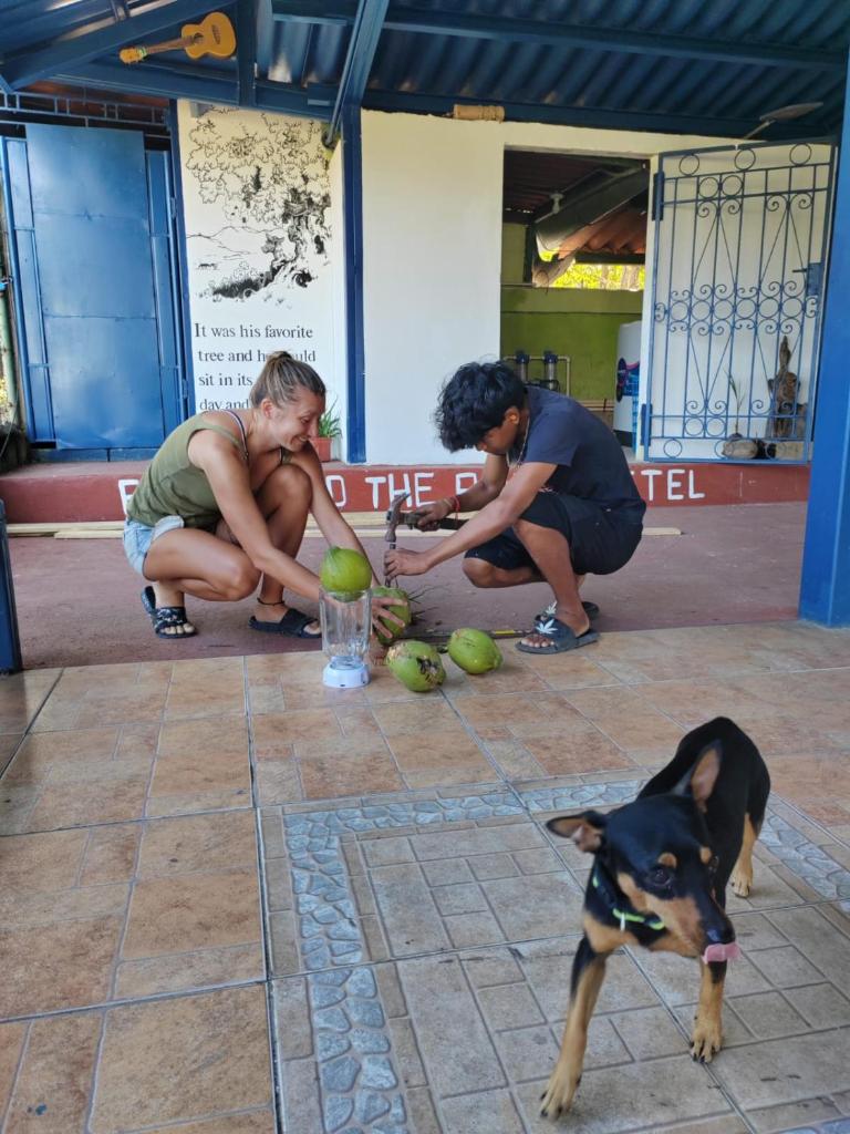 Ferdinand the bull hostel photo 4