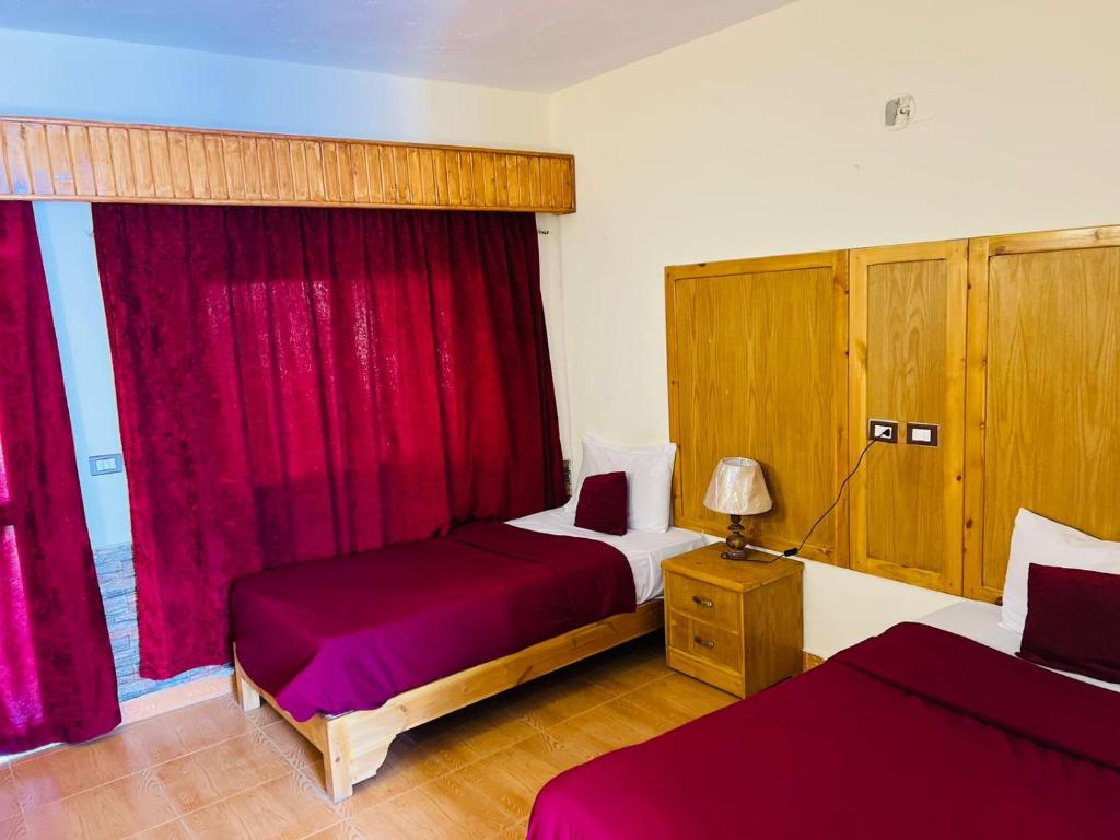 New sphinx hotel photo 3