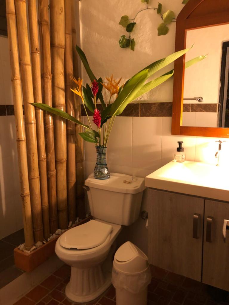 Coccoloba photo 2
