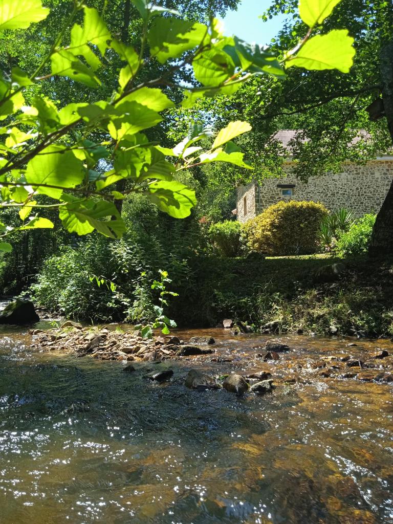 Gîte en bord d'étang et de rivière photo 2