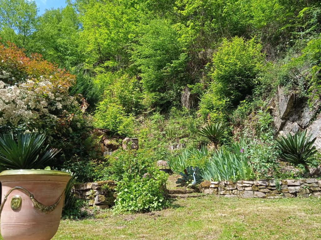 Gîte en bord d'étang et de rivière photo 3