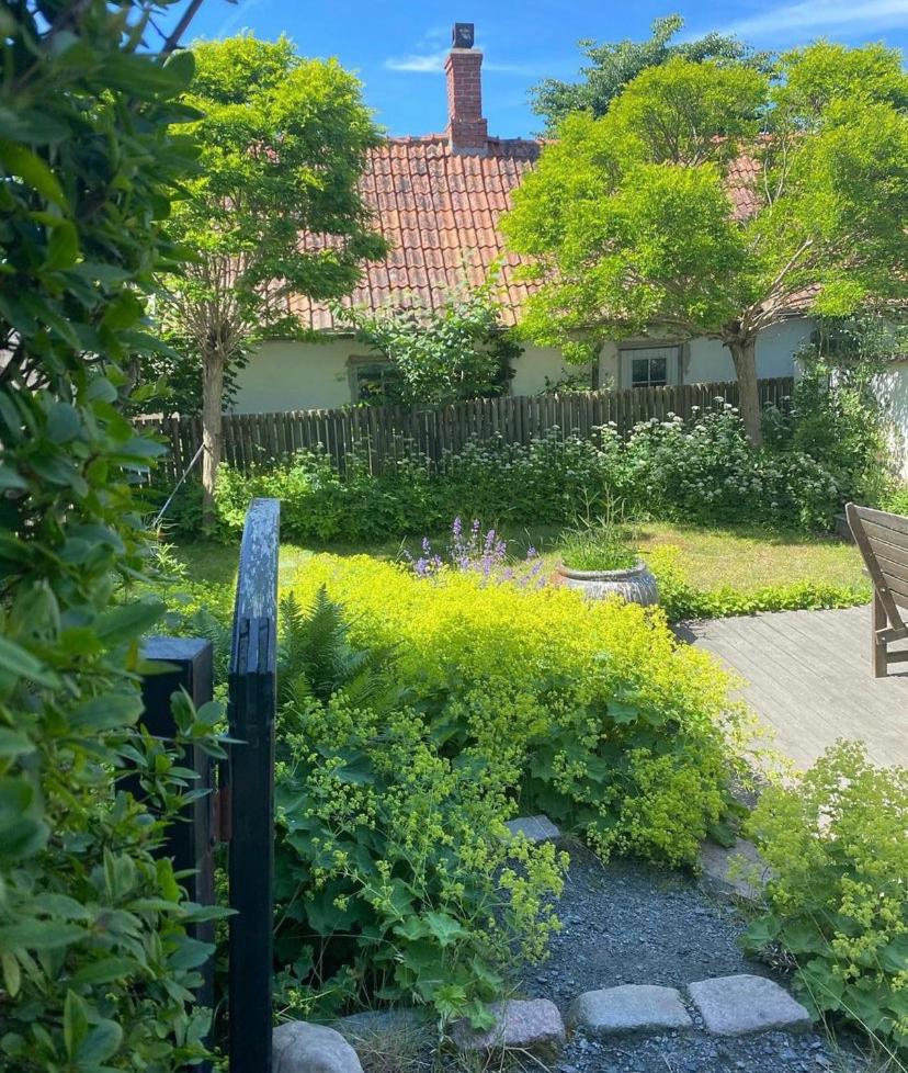 Botanikerns hus photo 1