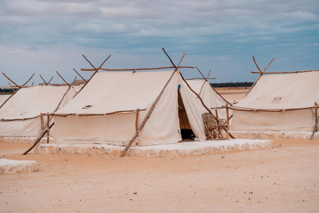 Tzila Camp photo 3