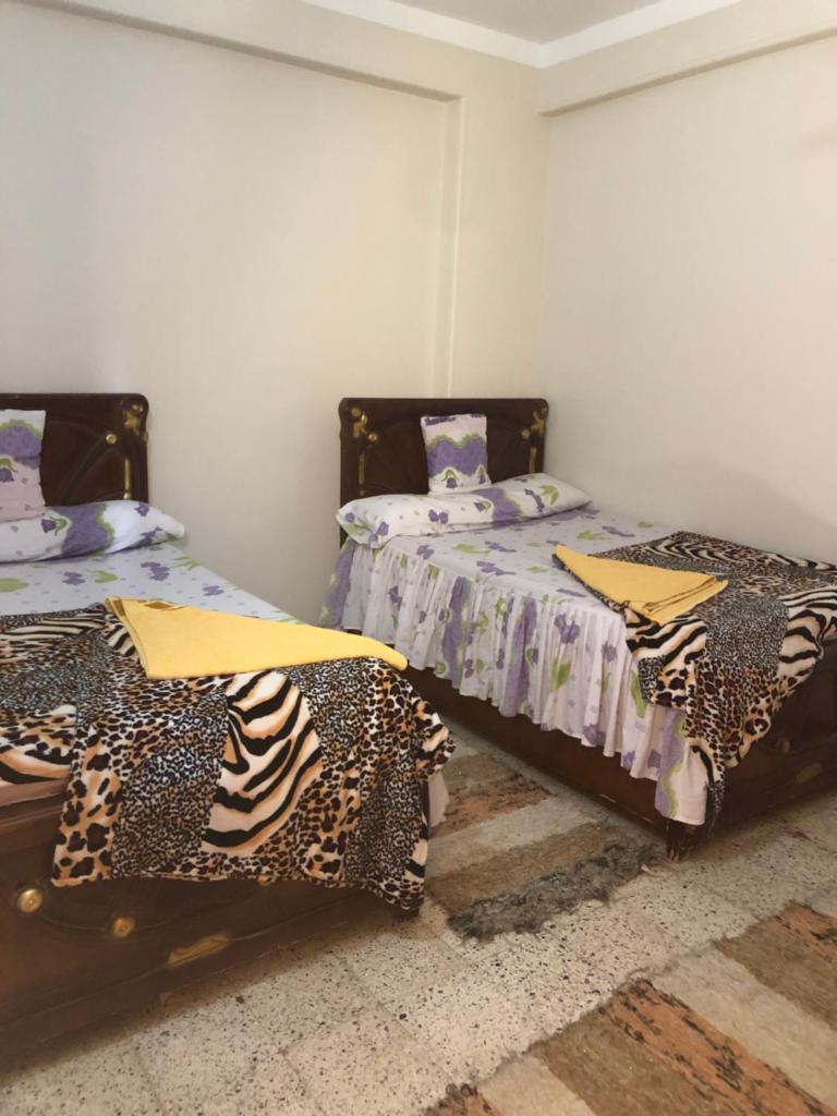 NUB Guest House photo 3