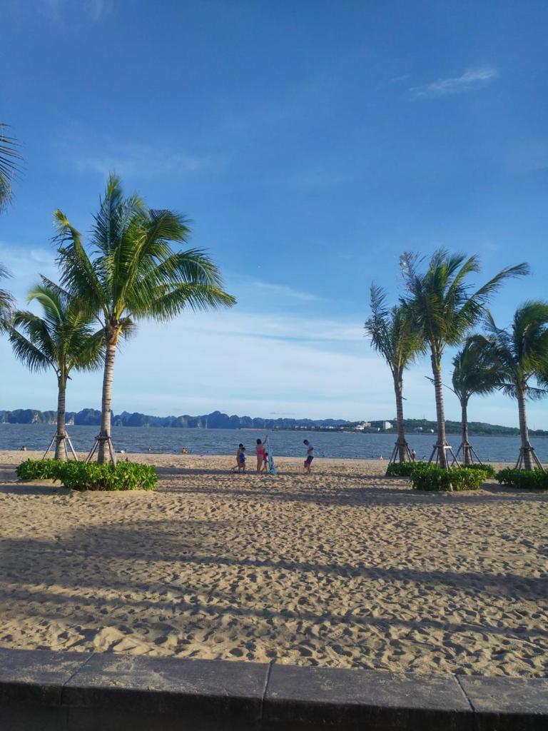 TH Homestay Hạ Long