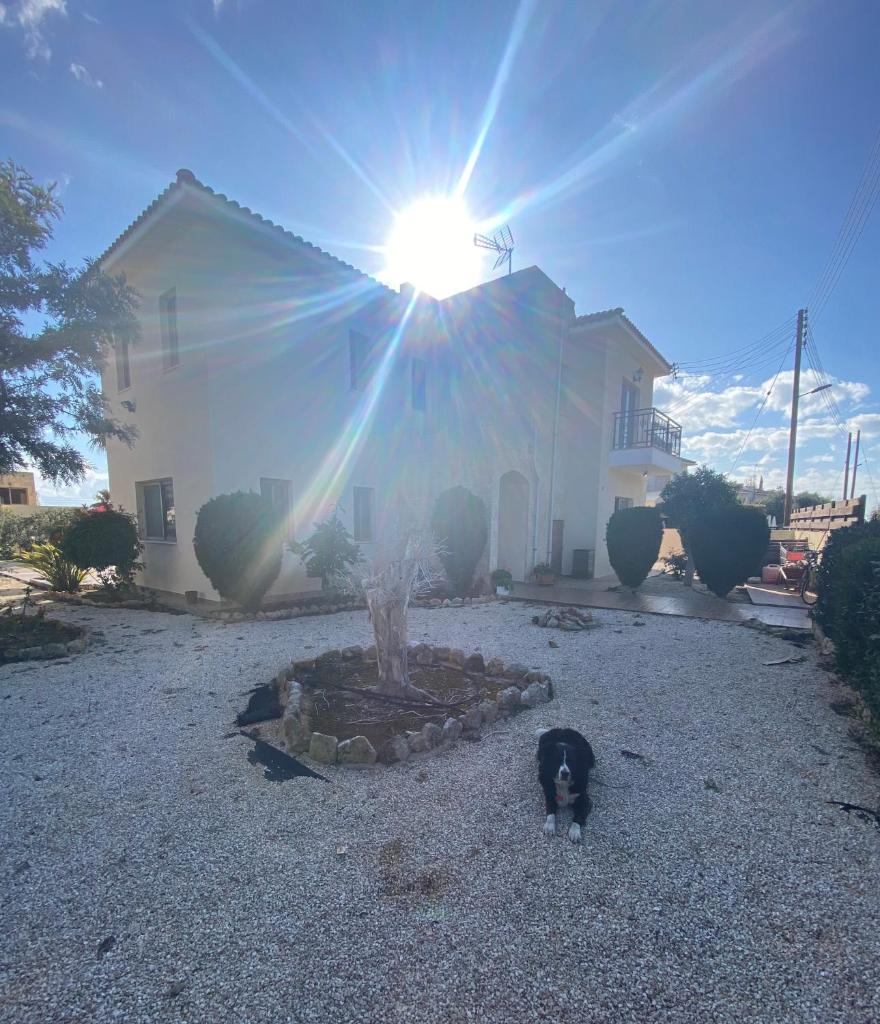 Villa Ariadni photo 3