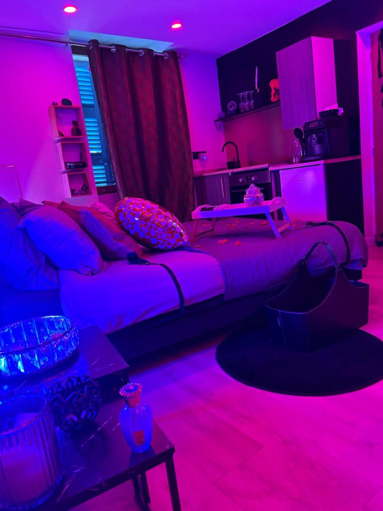 MJ Lust Room, centre var proche Verdon, cotignac, ambiance romantique photo 2