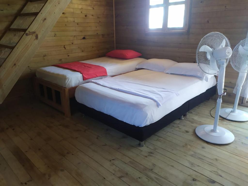 Hostel villa luz Beach photo 3