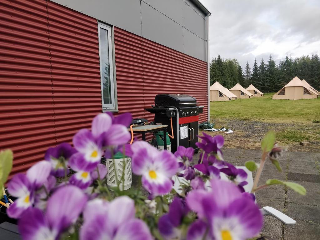 Godaland Guesthouse and Glamping photo 4