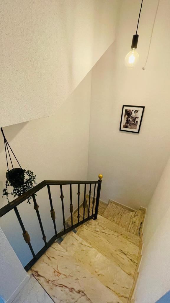 CASA PURI photo 3